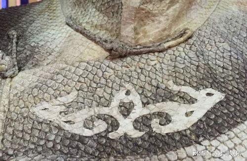 鱼皮衣,传统工艺与现代时尚的交融之旅